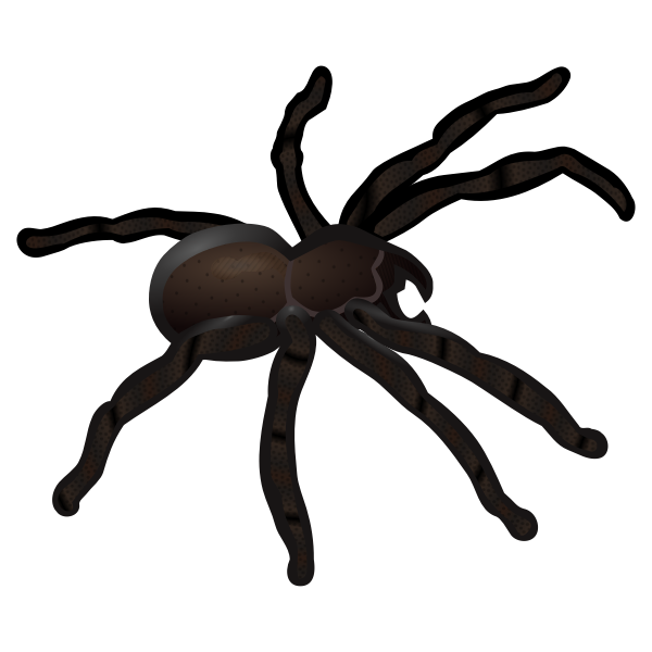 SVG Black spider