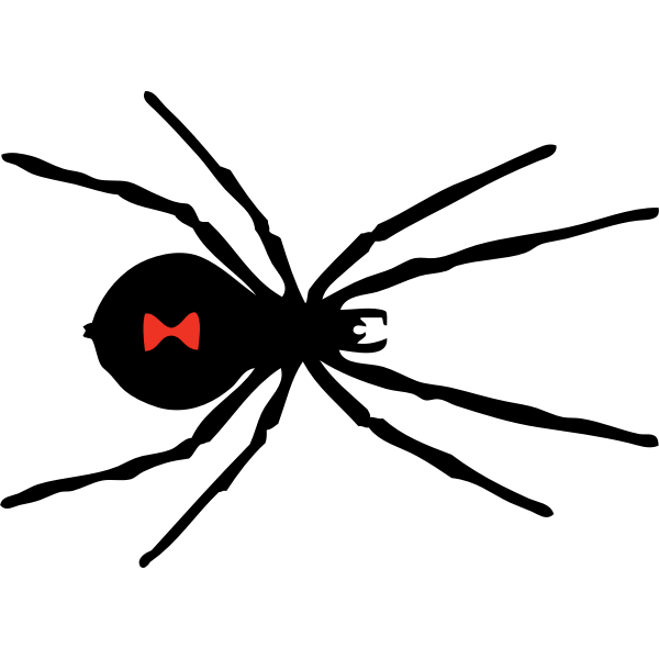 SVG black widow spider