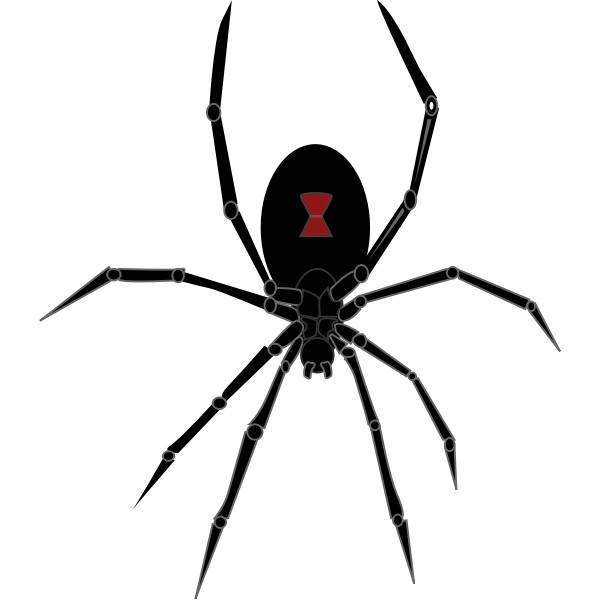 SVG Black widow spider vector graphics