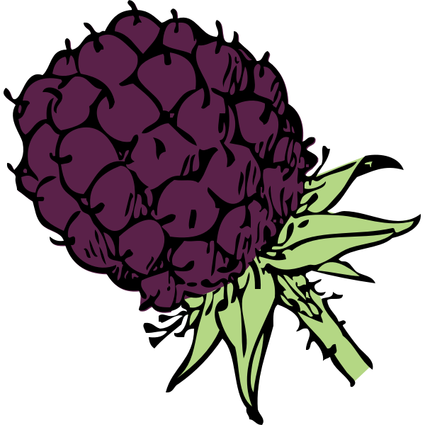 SVG Blackberry
