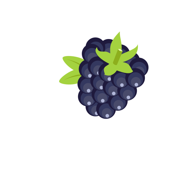 SVG Blackberry fruit