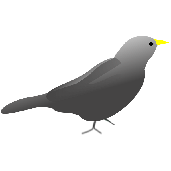 SVG Blackbird
