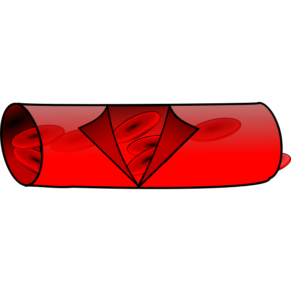 SVG Blood vessel