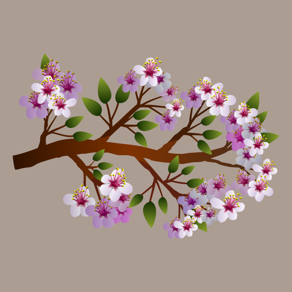 SVG Blooming spring flowers