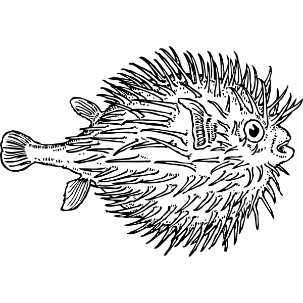 SVG blowfish