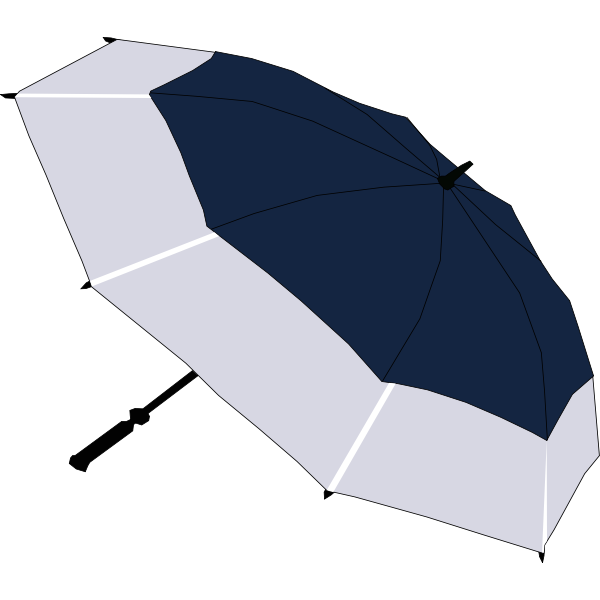 SVG Blue and grey umbrella vector image