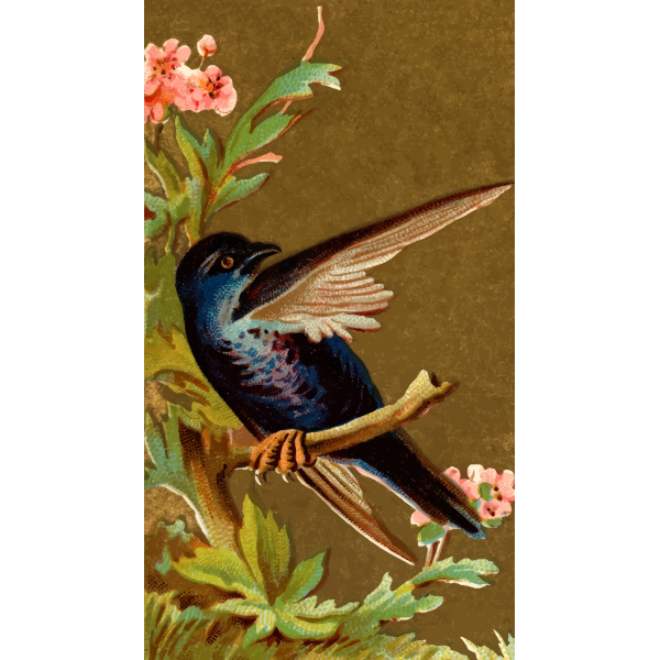 SVG Blue bird standing