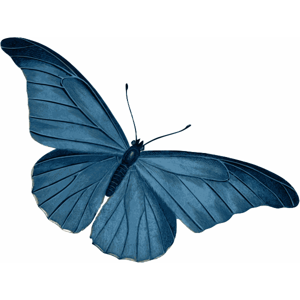 SVG Blue Butterfly Vector