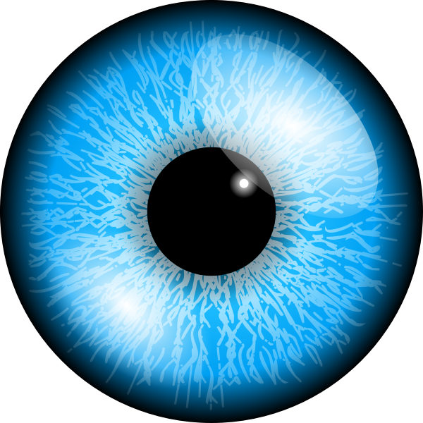 SVG Blue eye vector image