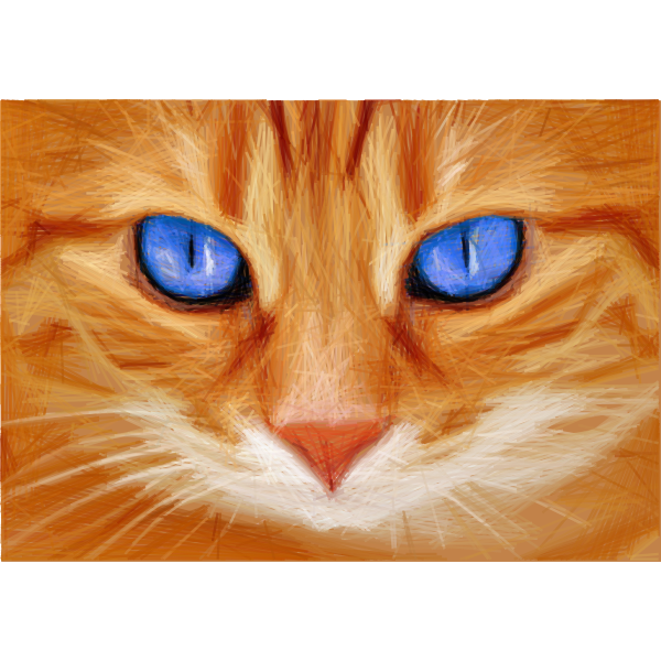 SVG Blue Eyed Cat