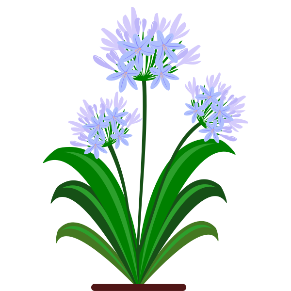 SVG Blue flowers vector image