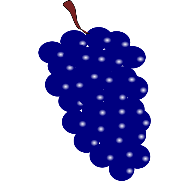 SVG Blue grapes vector image