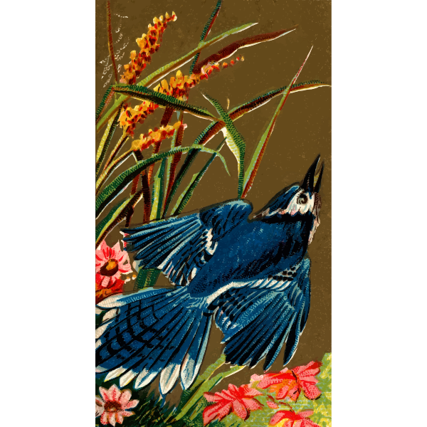 SVG Blue Jay