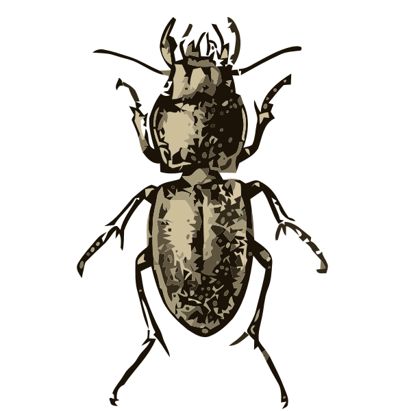 SVG Blue margined beetle