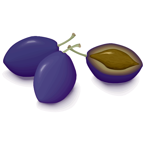 SVG Blue plums