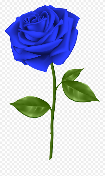 Svg Blue Rose Clipart - Blue Rose Transparent Background - Png ...