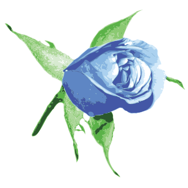SVG Blue rose vector image