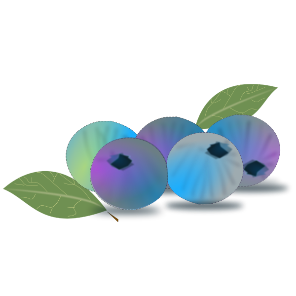 SVG Blueberries vector image