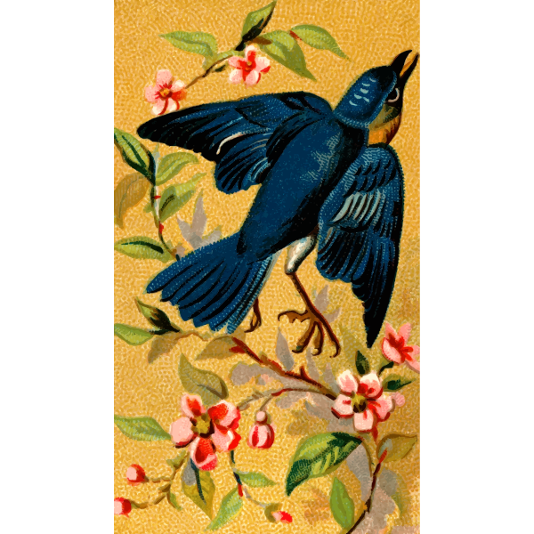 SVG Bluebird drawing