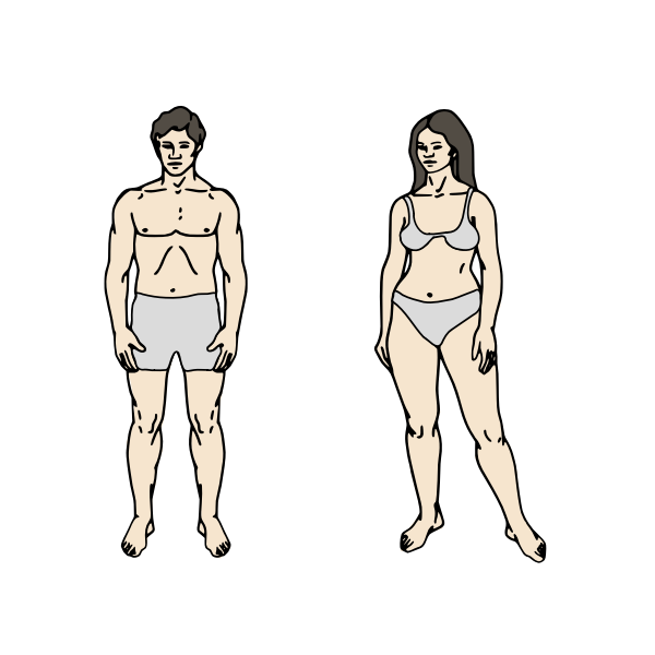 SVG Body Parts Chart
