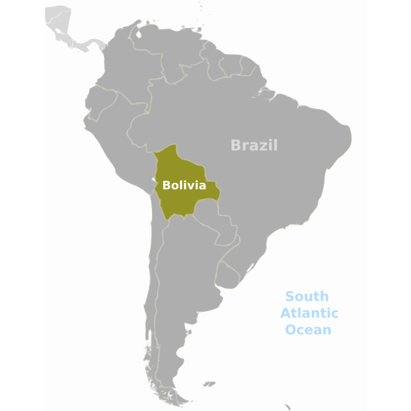 SVG Bolivia location label