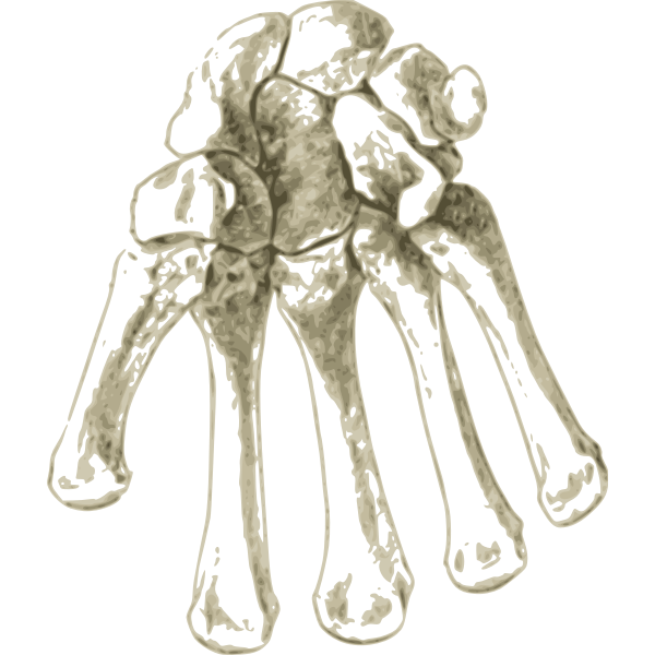 SVG Bones in hand