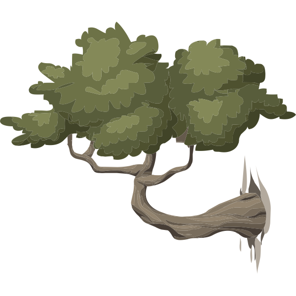 SVG Bonsai