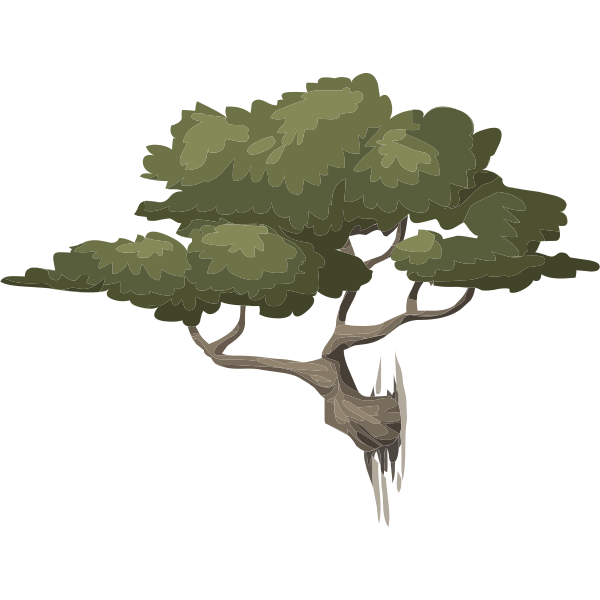 SVG Bonsai tree