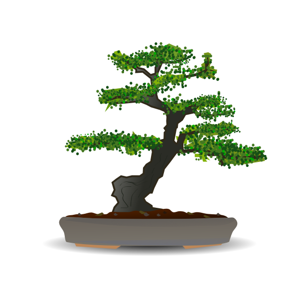 SVG Bonsai tree vector drawing