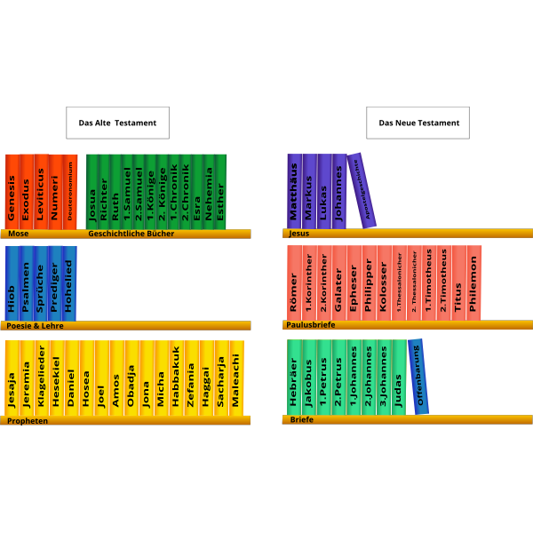 SVG Books on shelves vector drawing