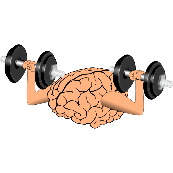 SVG Brain training