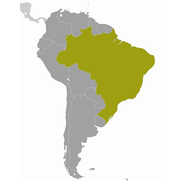SVG Brazil location map vector drawing