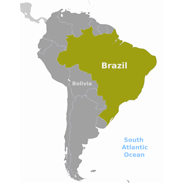 SVG Brazil location map vector image
