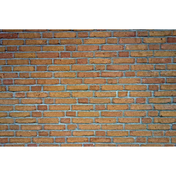 SVG Brick wall vector image