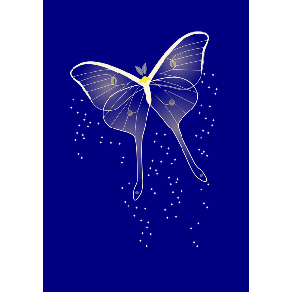 SVG Bright butterfly vector clip art