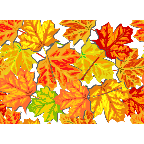 SVG Bright fall leaves vector graphics