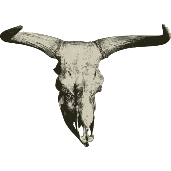 SVG British bison skull