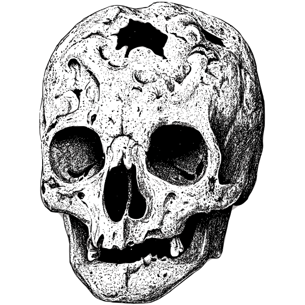 SVG Broken skull vector image