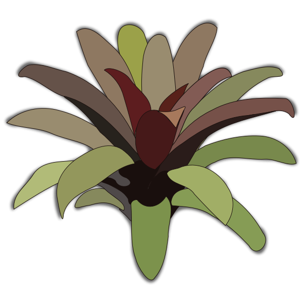 SVG Bromelia 07