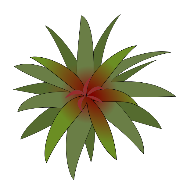 SVG Bromelia leaves