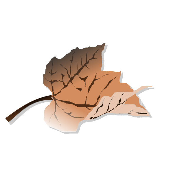 SVG Brown autumn leaf vector clip art