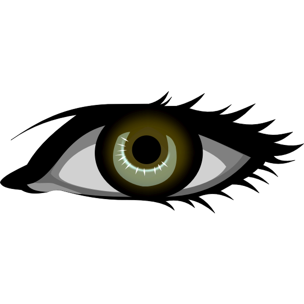SVG Brown eye vector image