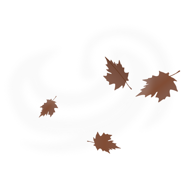 SVG Brown fall leaves vector drawing on white background