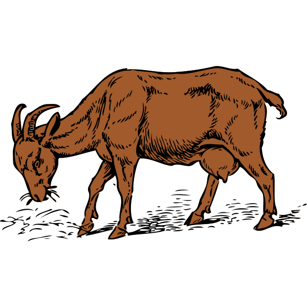 SVG brown goat