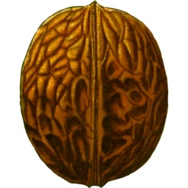 SVG Brown nut