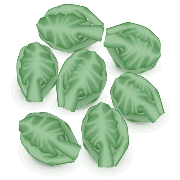 SVG Brussel sprouts vector image