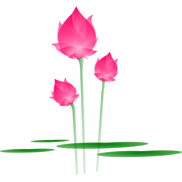 SVG bua2