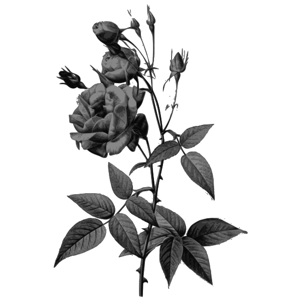 SVG Buds and roses