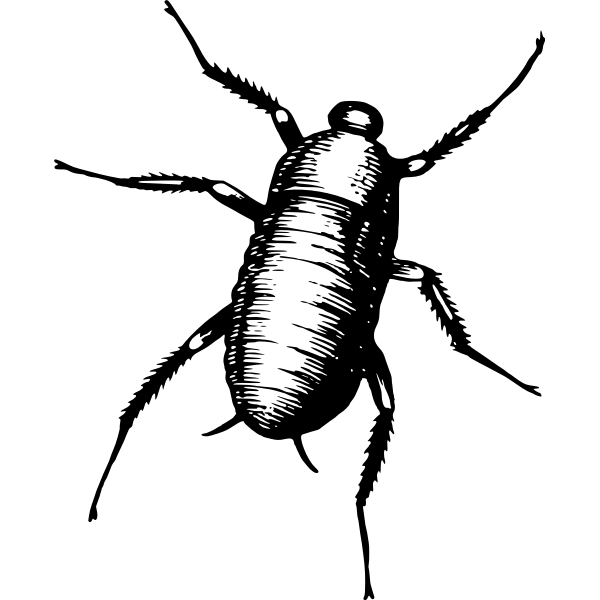 SVG Bug in black and white