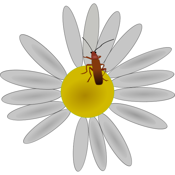 SVG Bug on a flower vector